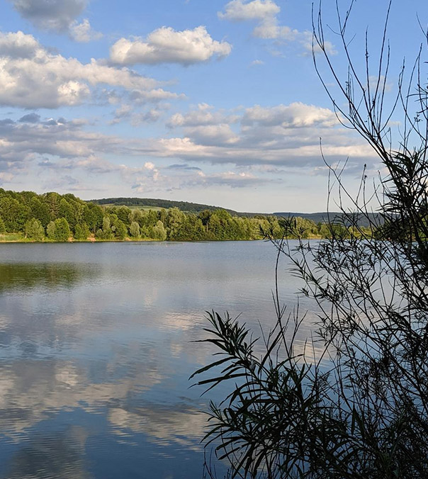 Apartamenty w Dąbrowie Górniczej